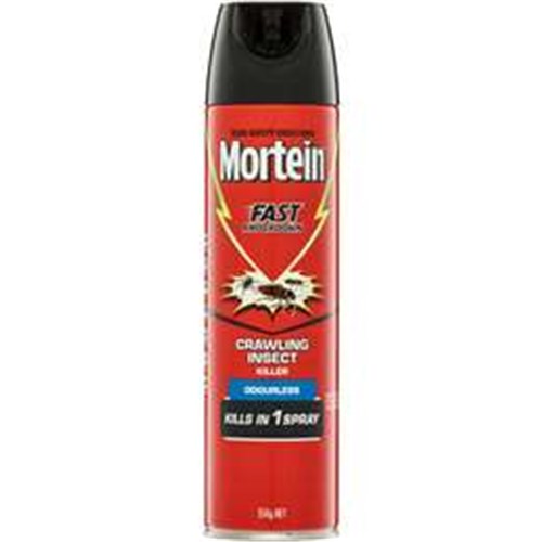 Mortein Insect Spray Plus Odourless 350g